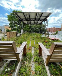 Green roof with solar canopy
